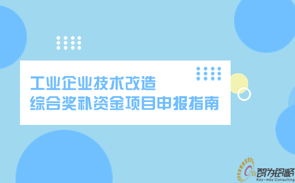 工业企业技术改造综合奖补资金项目申报指南.jpg