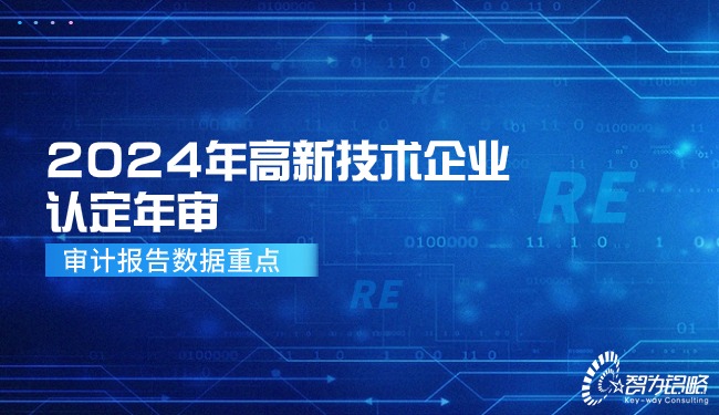 2024年高新技术企业认定年审—审计报告数据重点.jpg