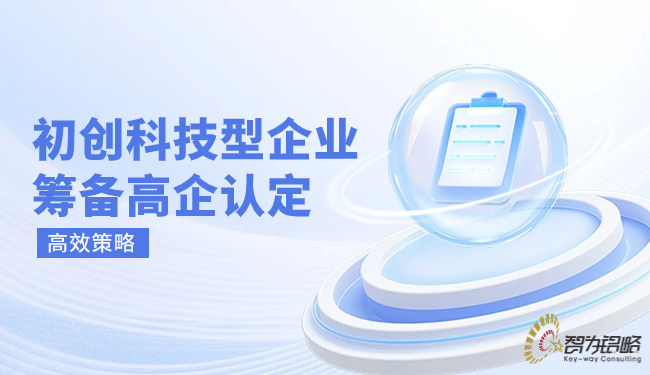 初创科技型企业筹备高企认定的高效策略.png