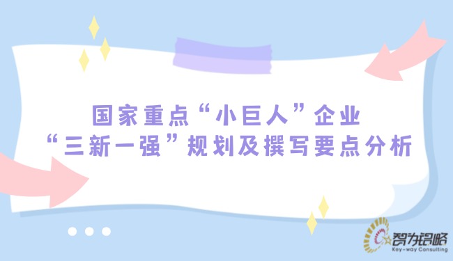 国家重点“小巨人”企业“三新一强”规划及撰写要点分析.jpg
