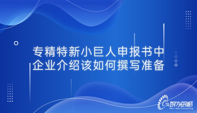 专精特新小巨人申报书中的企业介绍该如何撰写准备.jpg