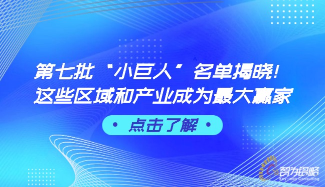 第七批“小巨人”名单揭晓！这些区域和产业成为最大赢家.jpg