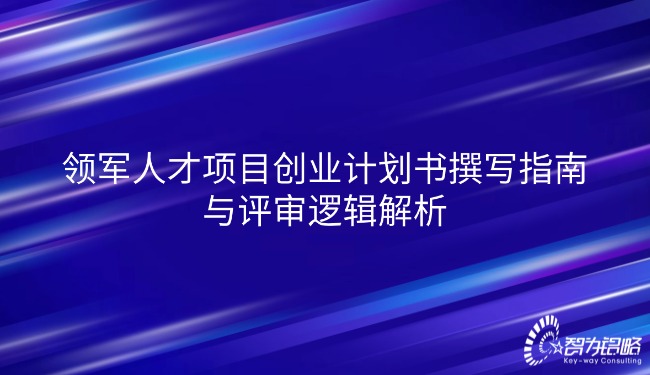 领军人才项目创业计划书撰写指南与评审逻辑解析.jpg