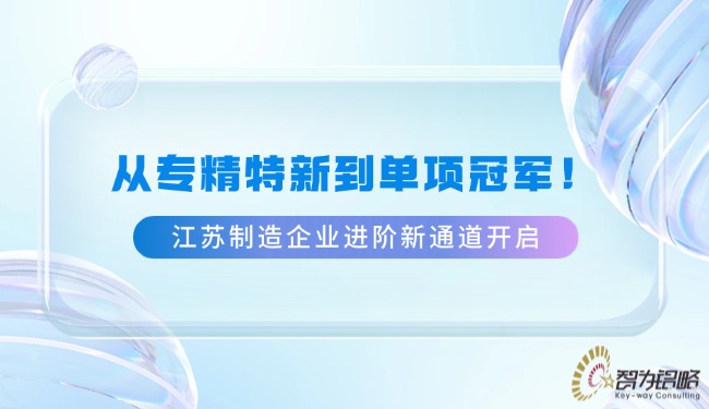轻透几何风微信公众号首图封面(22).jpg