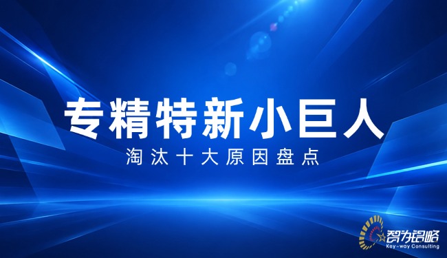 每日资讯公众号封面。每日资讯新闻热点科技风海报。蓝色科技感光影背景配以白色大字每日资讯,适合用于企业商务新闻播报或公众号封面.jpg